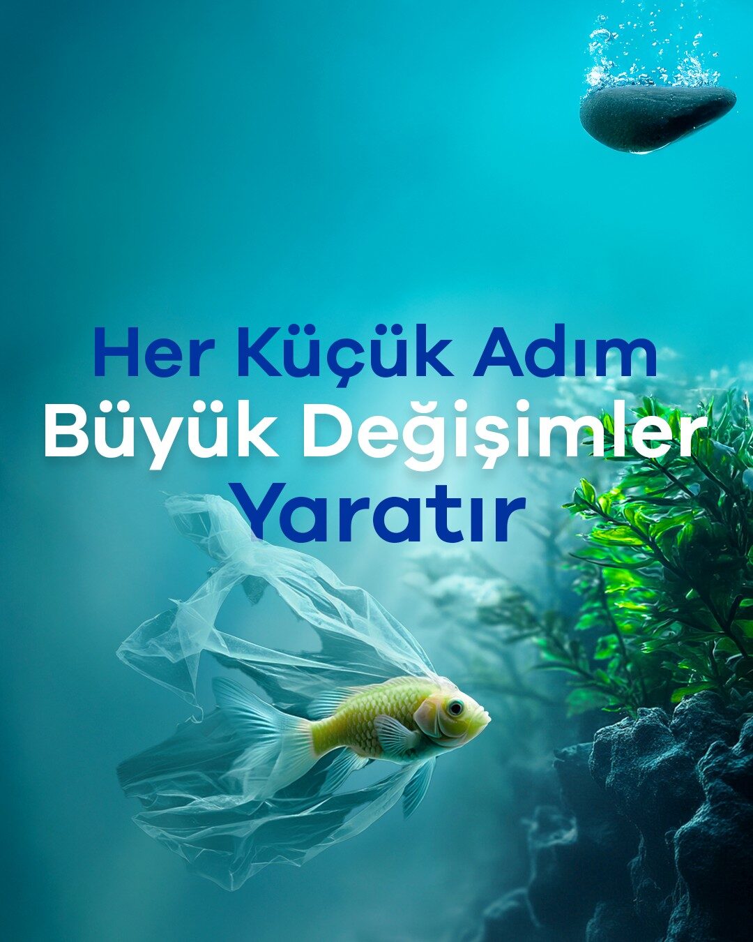her küçük adım 4