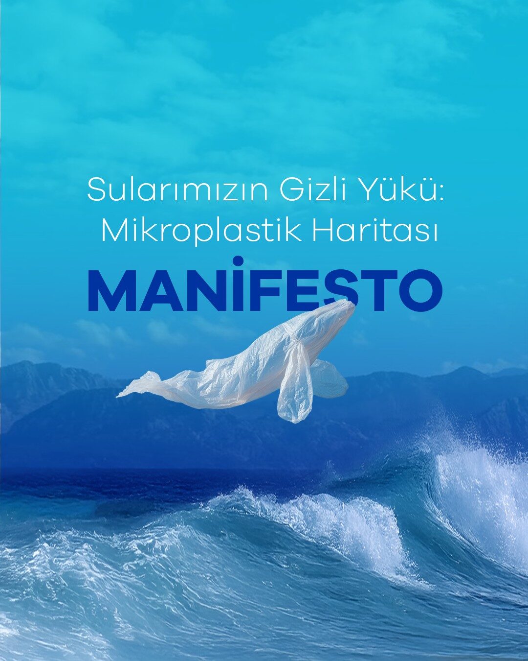 manifesto 23
